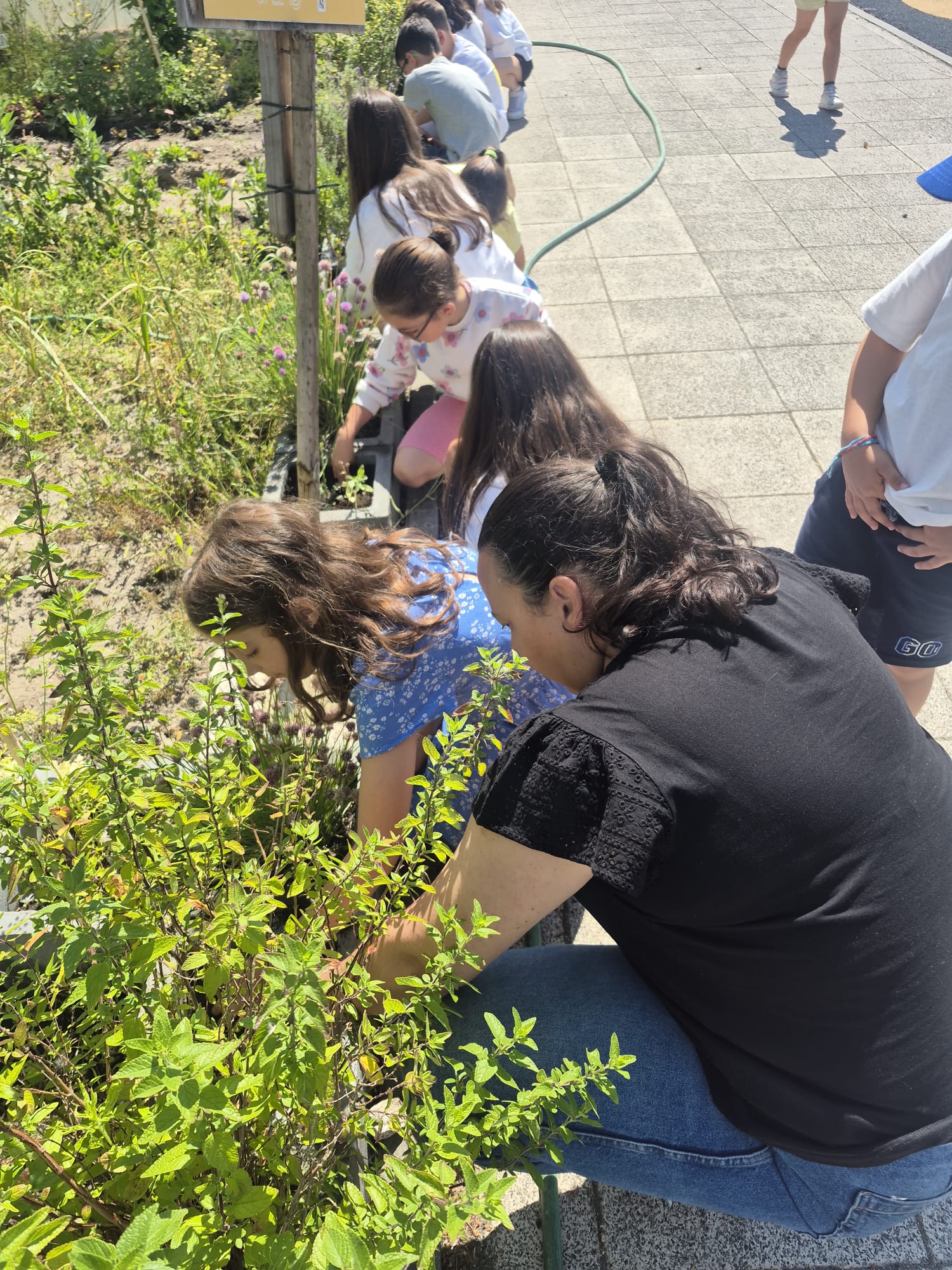 Rota concelhia pelo Clima - Entrega do Testemunho do JI da Barreira ao Centro Escolar da Barreira