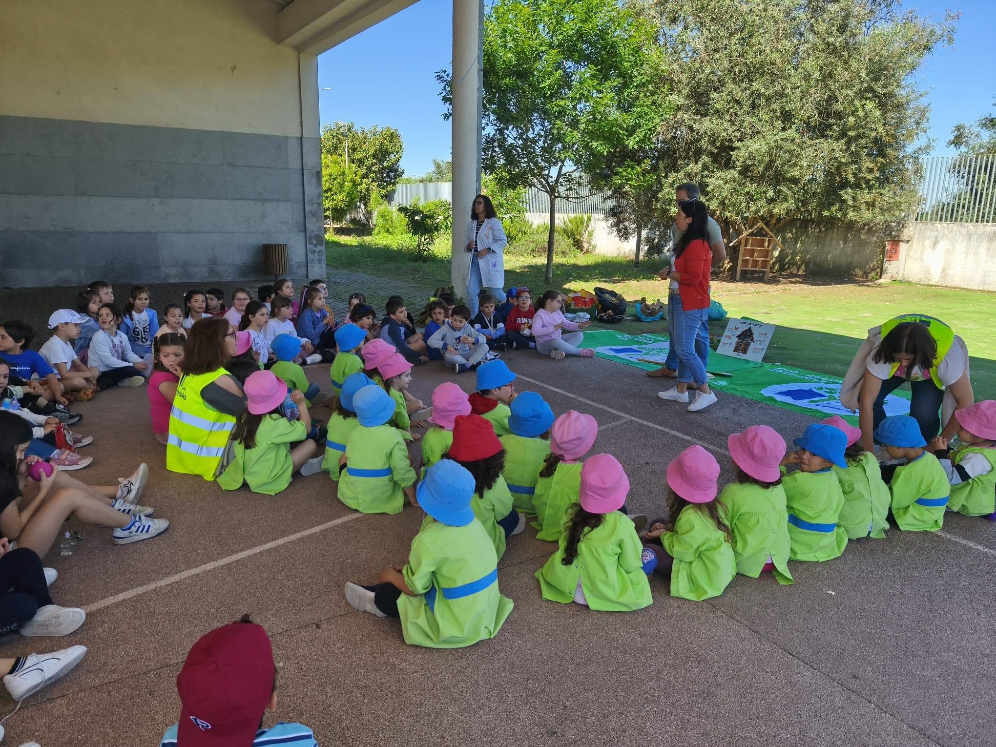 Construção de hotel de insetos com as escolas do CAPP e Centro Escolar da Pampilhosa no dia Mundial da Abelha.
