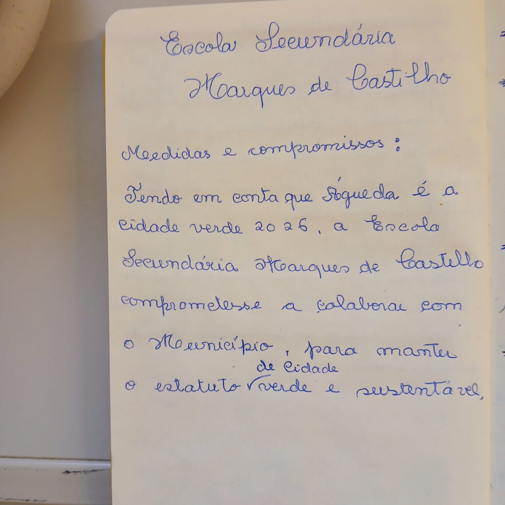 os compromissos a que nos propusemos.