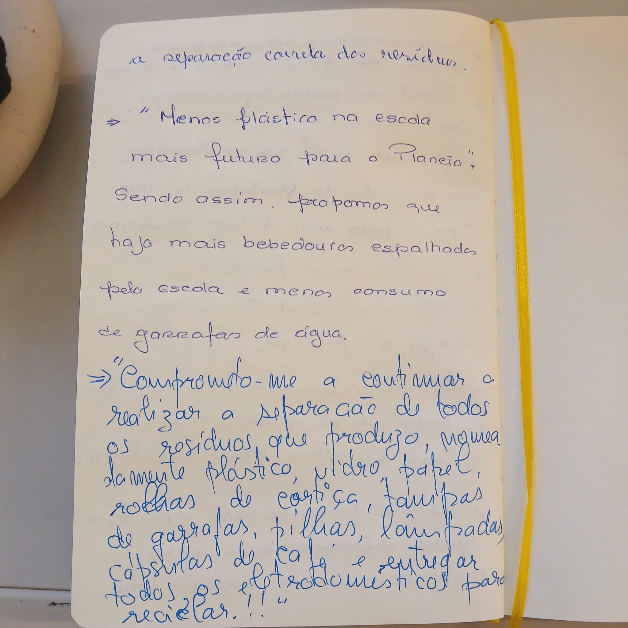 os compromissos a que nos propusemos.