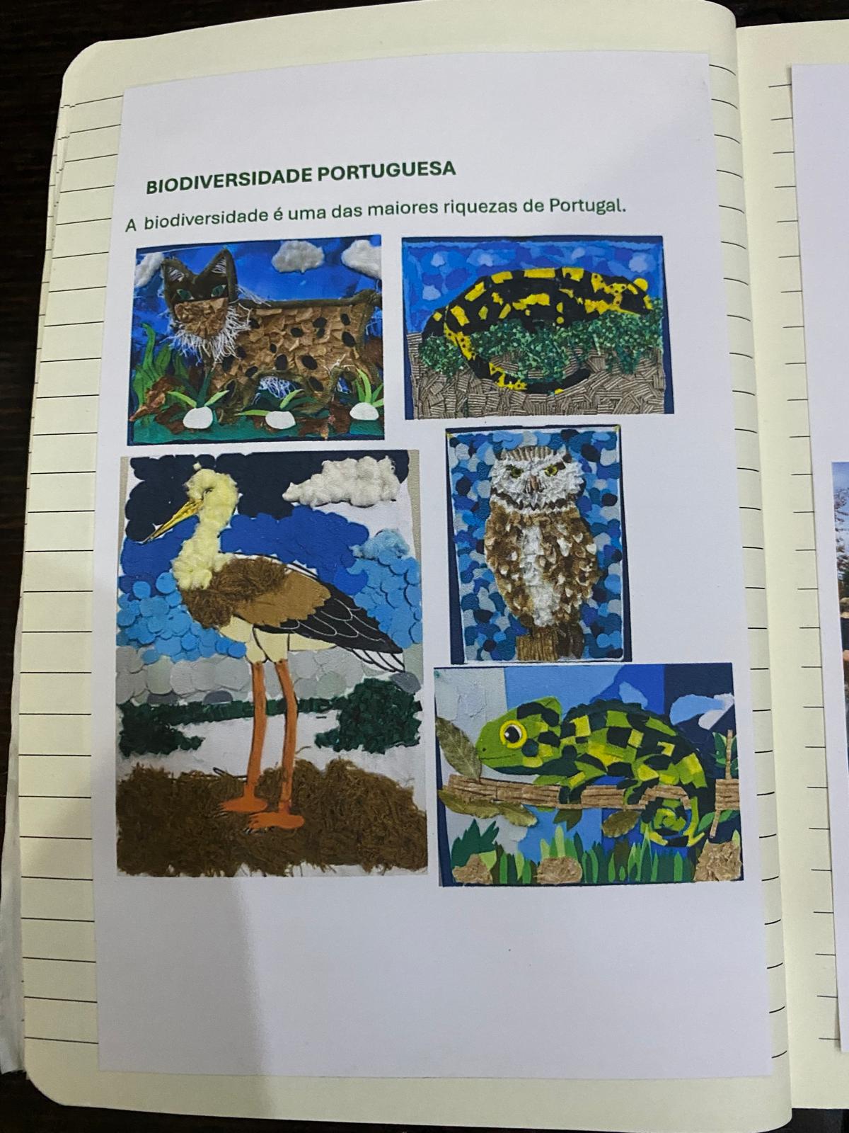 Foto das páginas 11 do caderno resumo das atividades desenvolvidas.
