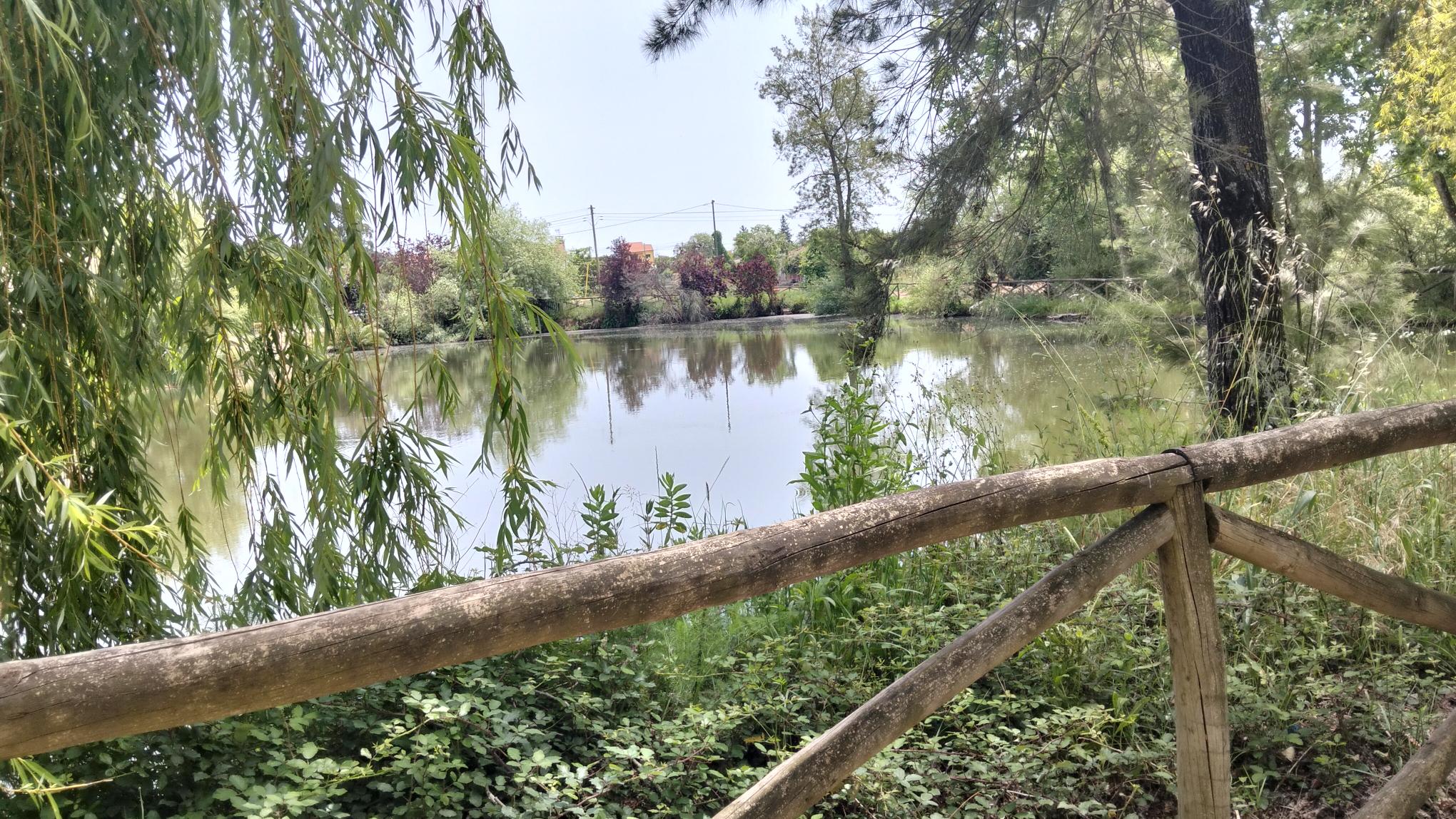 Passagem de testemunho no lago do Sume e atividade sobre a biodiversidade ali existente.