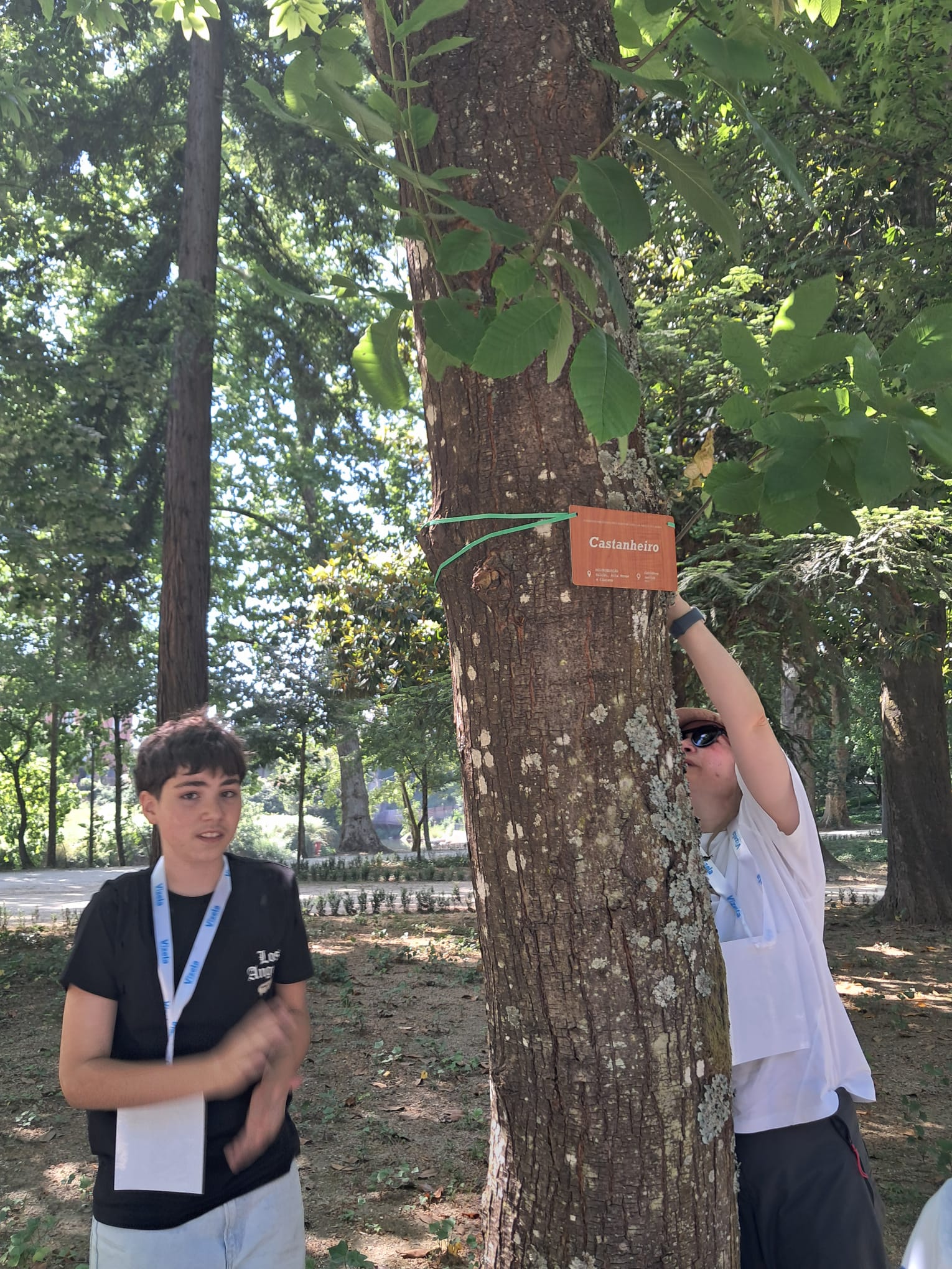 Identificação de árvores no parque