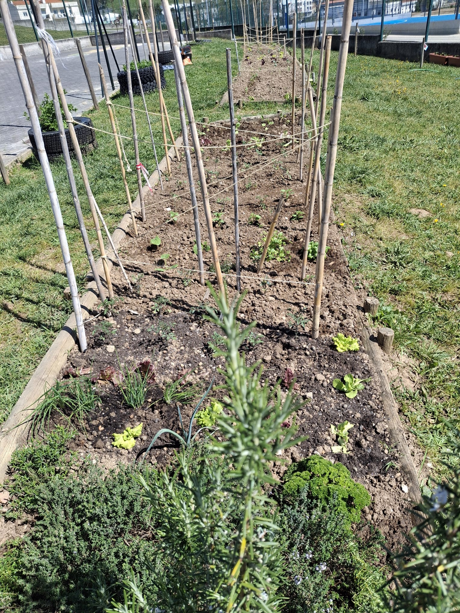 Produção de Hortículas (De modo anual)
