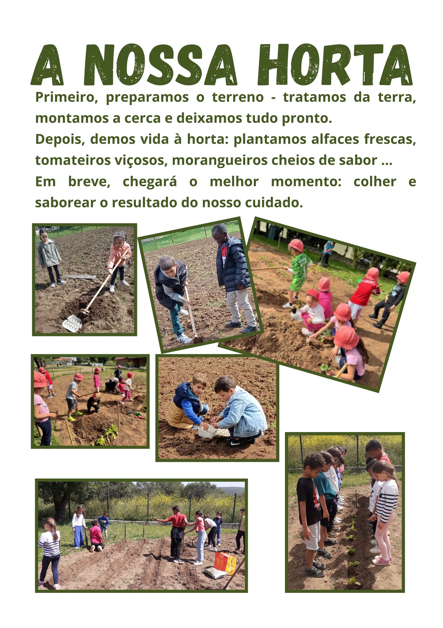 A nossa horta