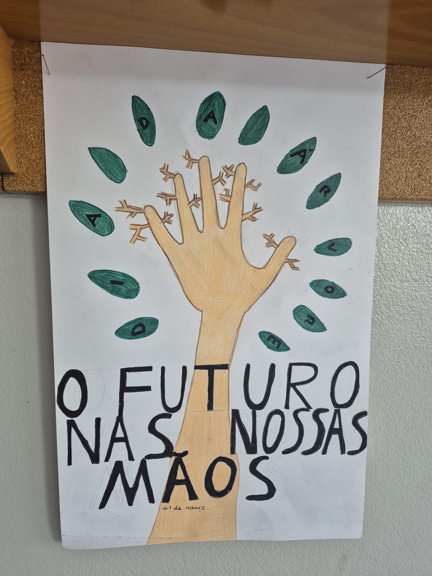 A importância das plantas.
