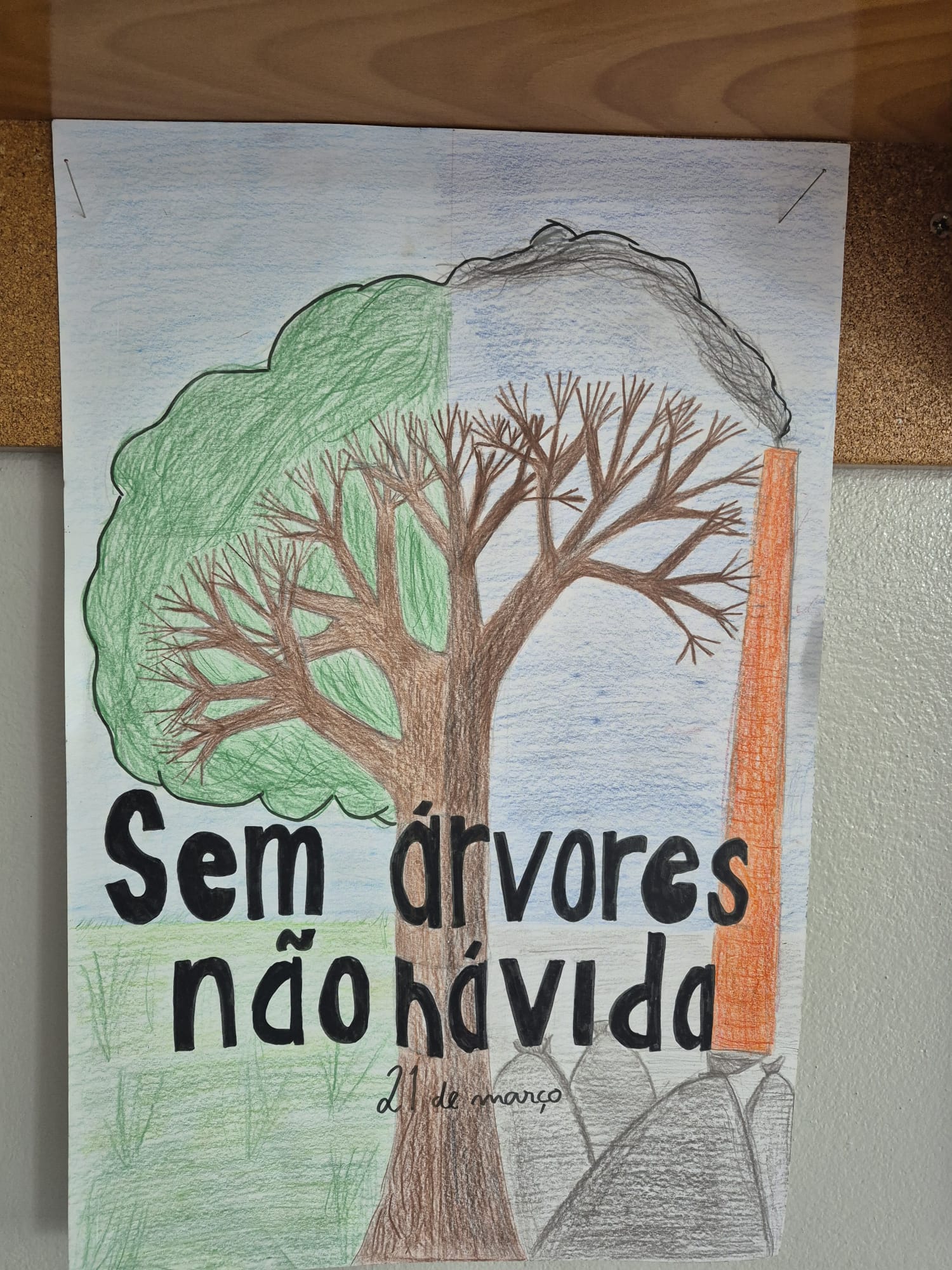 Proteção dos espaços verdes.