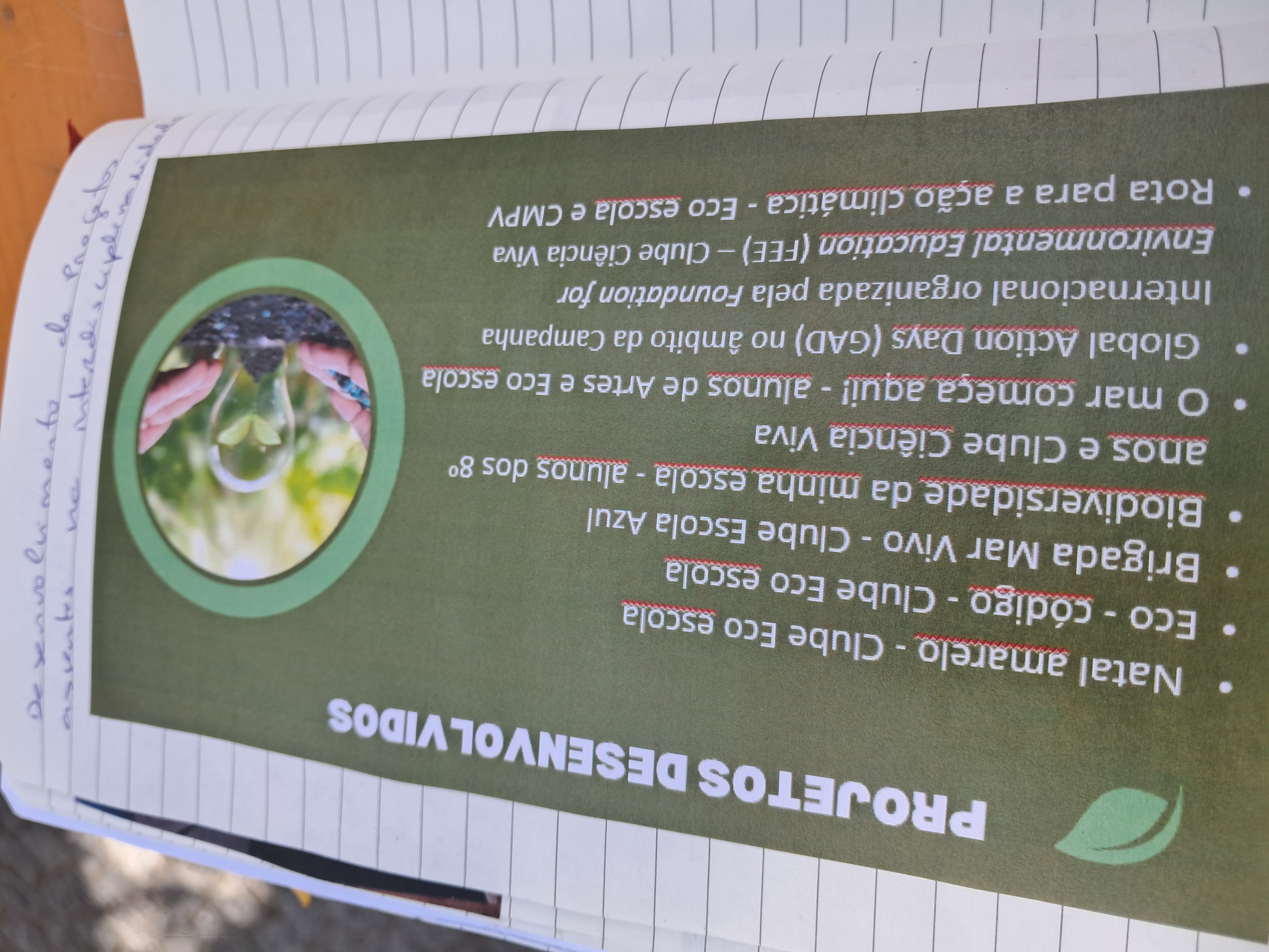 Foto da atividade desenvolvida - Desenvolver projetos assentes na interdisciplinaridade