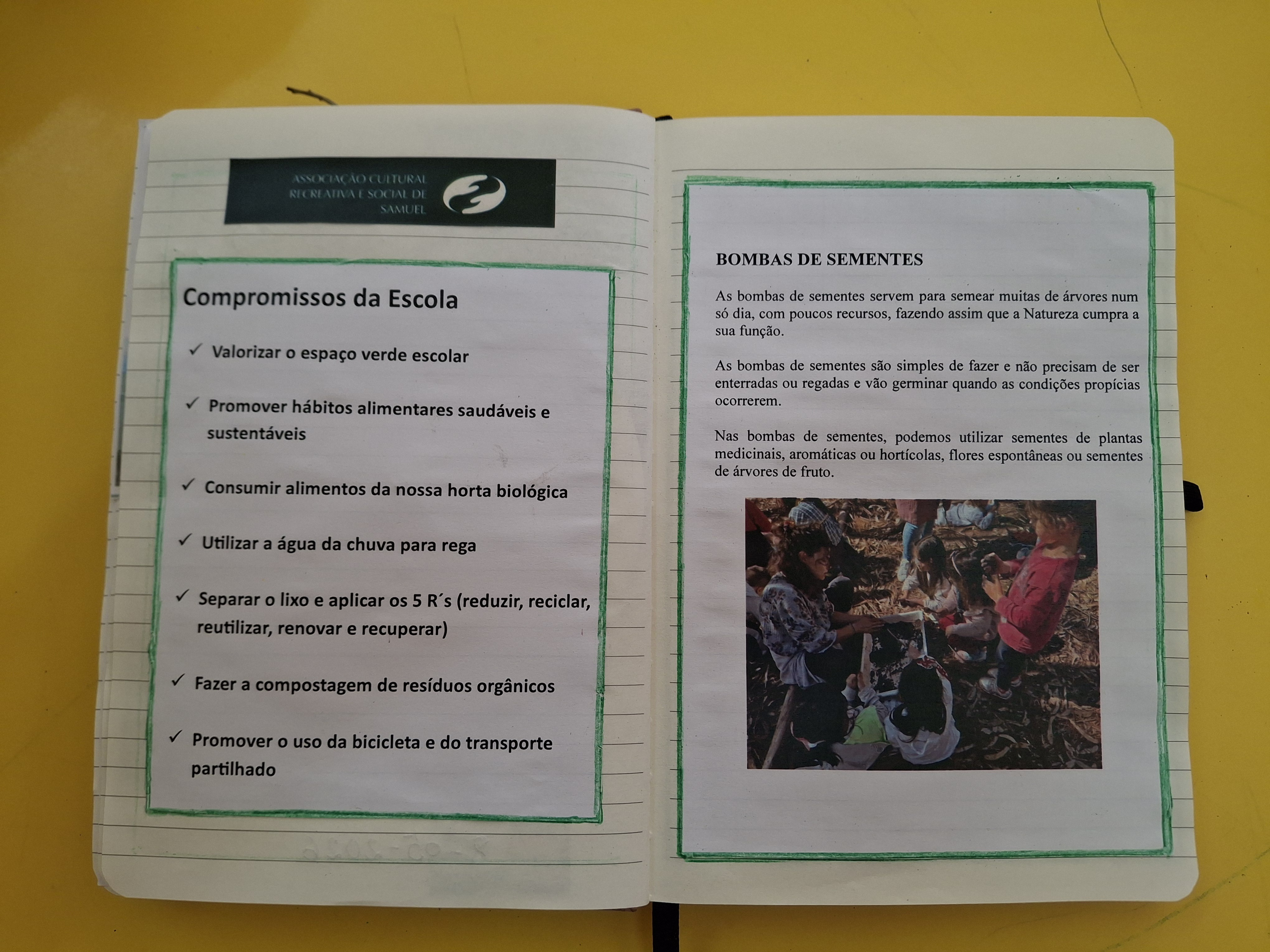 Compromisso da Escola e ação climática