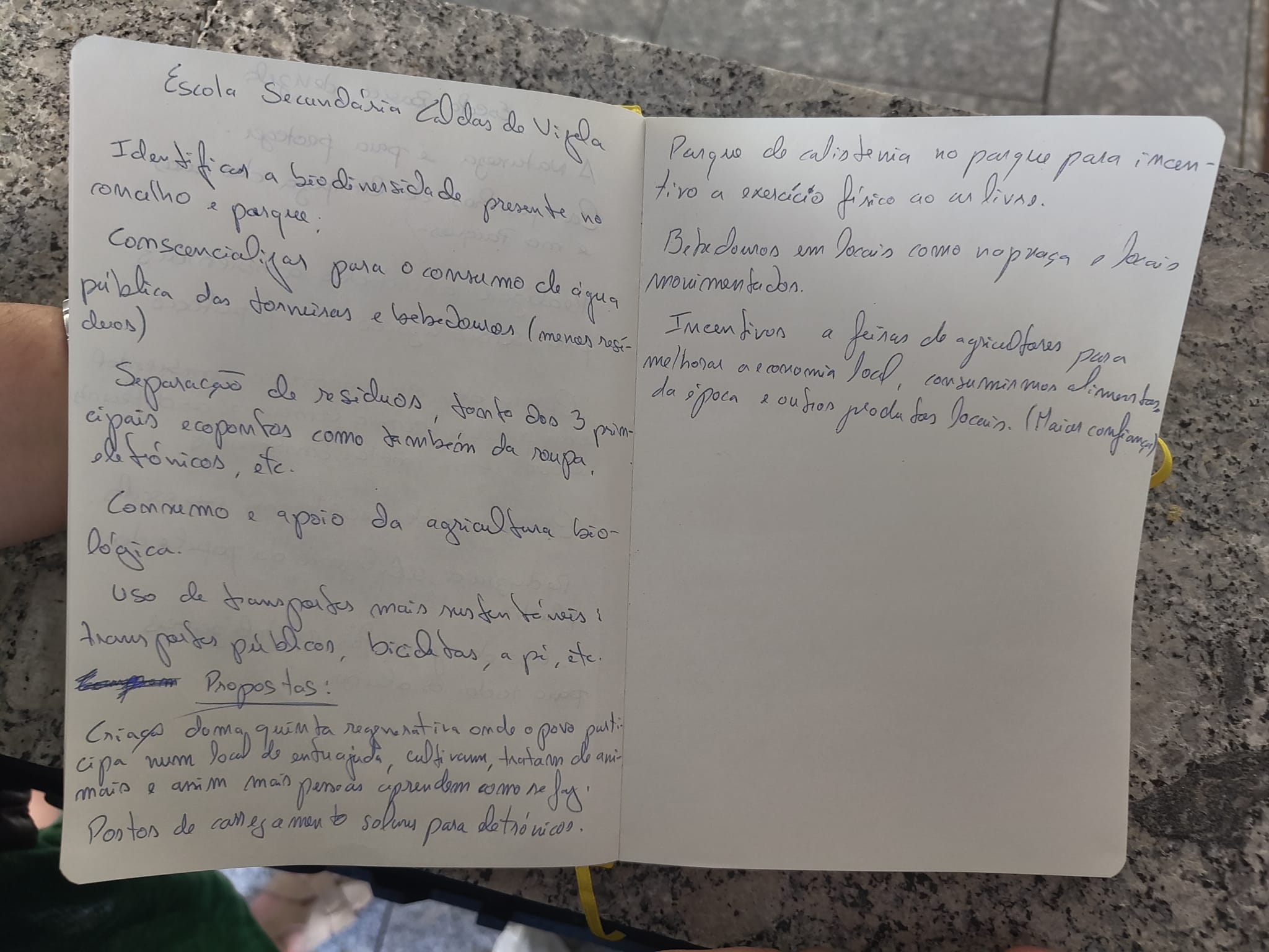 Compromissos e propostas