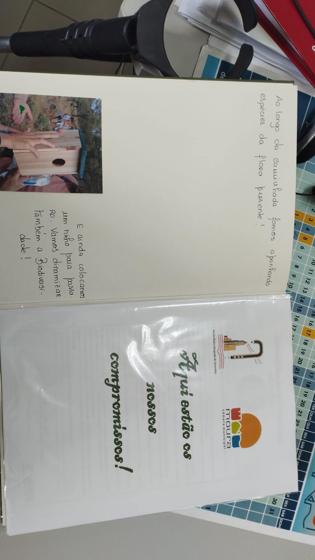 Os nossos compromissos (município, escola e compromissos individuais dos alunos). Colocação de ninhos.