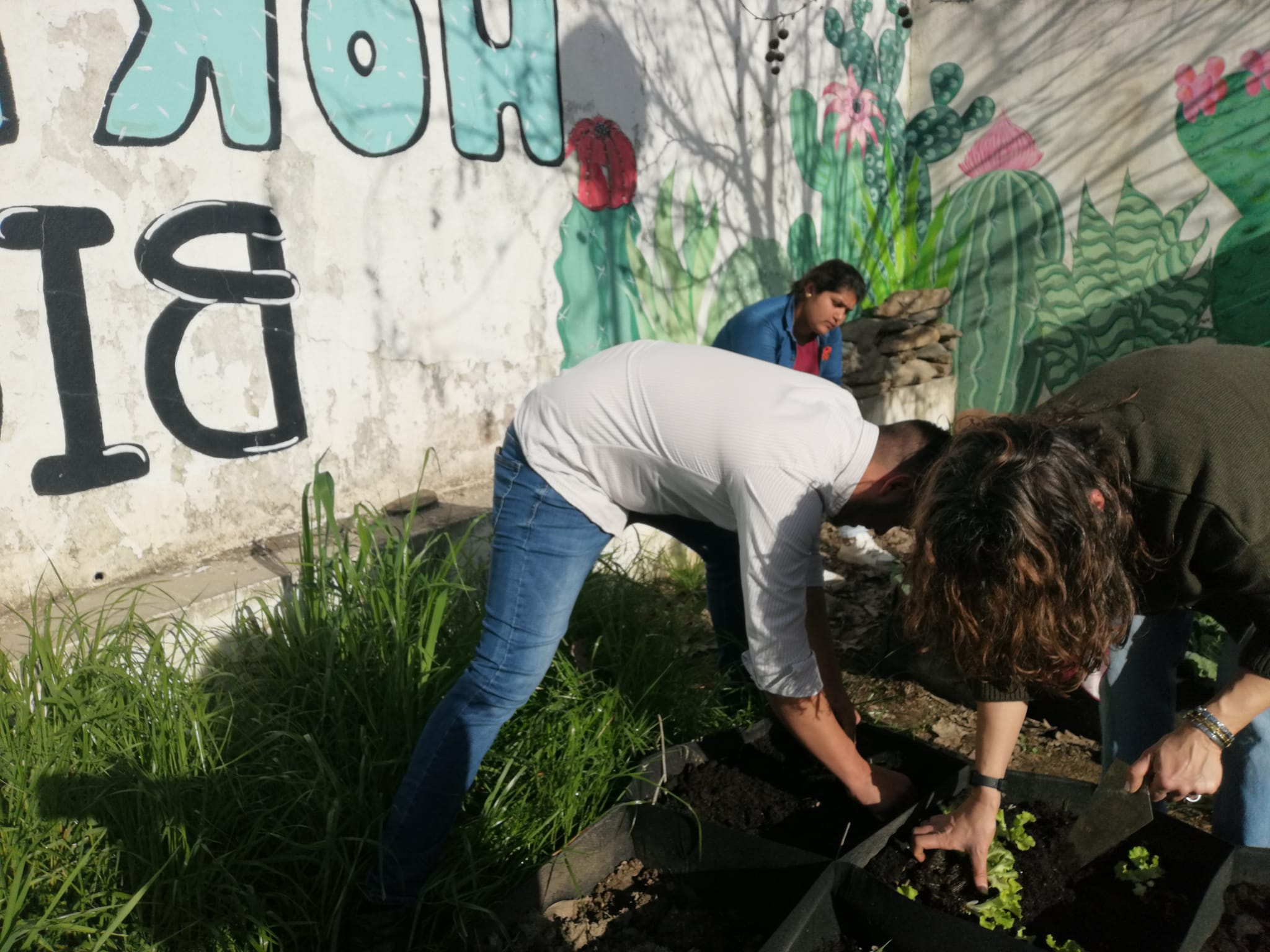 As fotos comprovam o que foi descrito anteriormente sobre as atividades desenvolvidas.