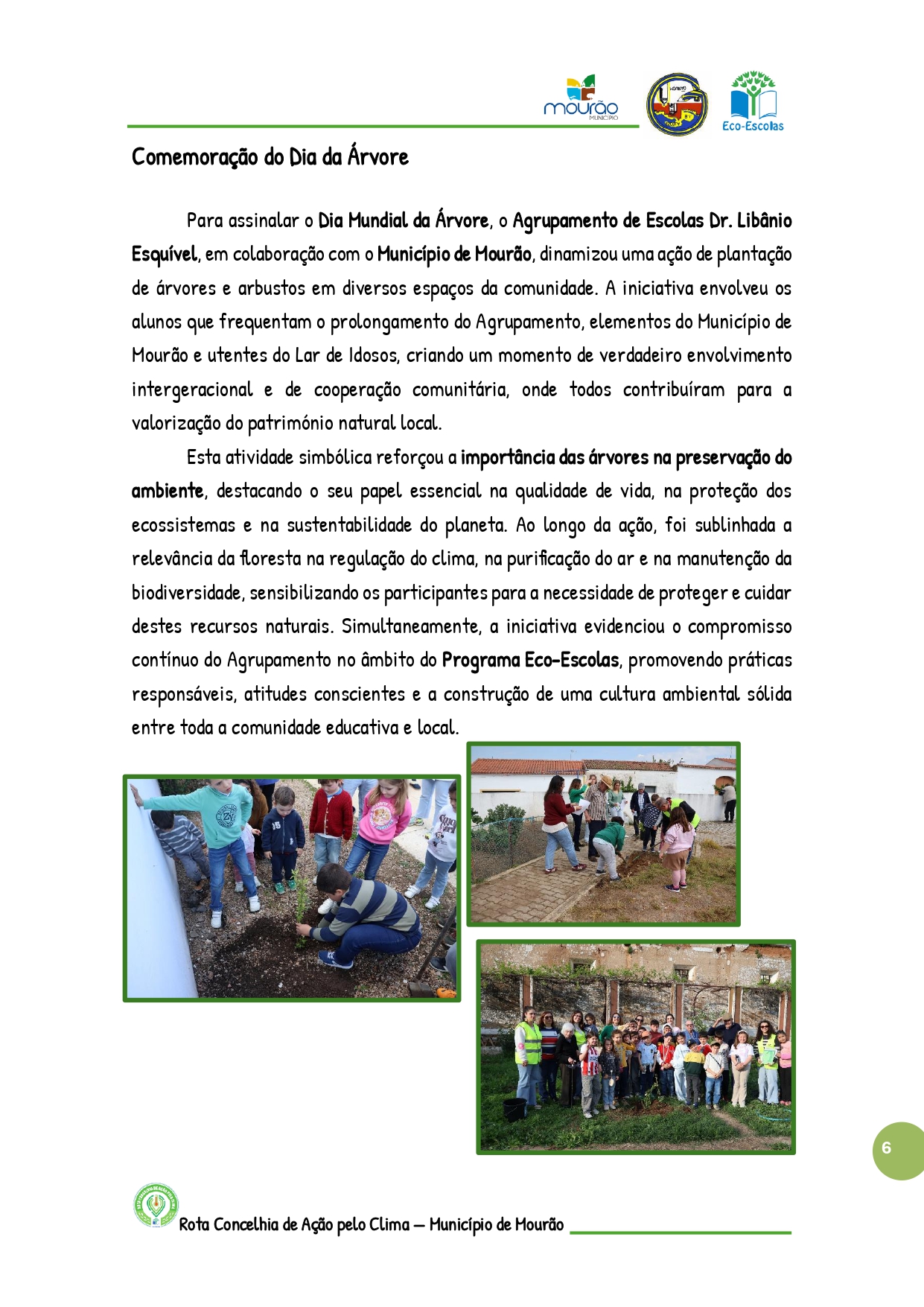 Plantação de árvores