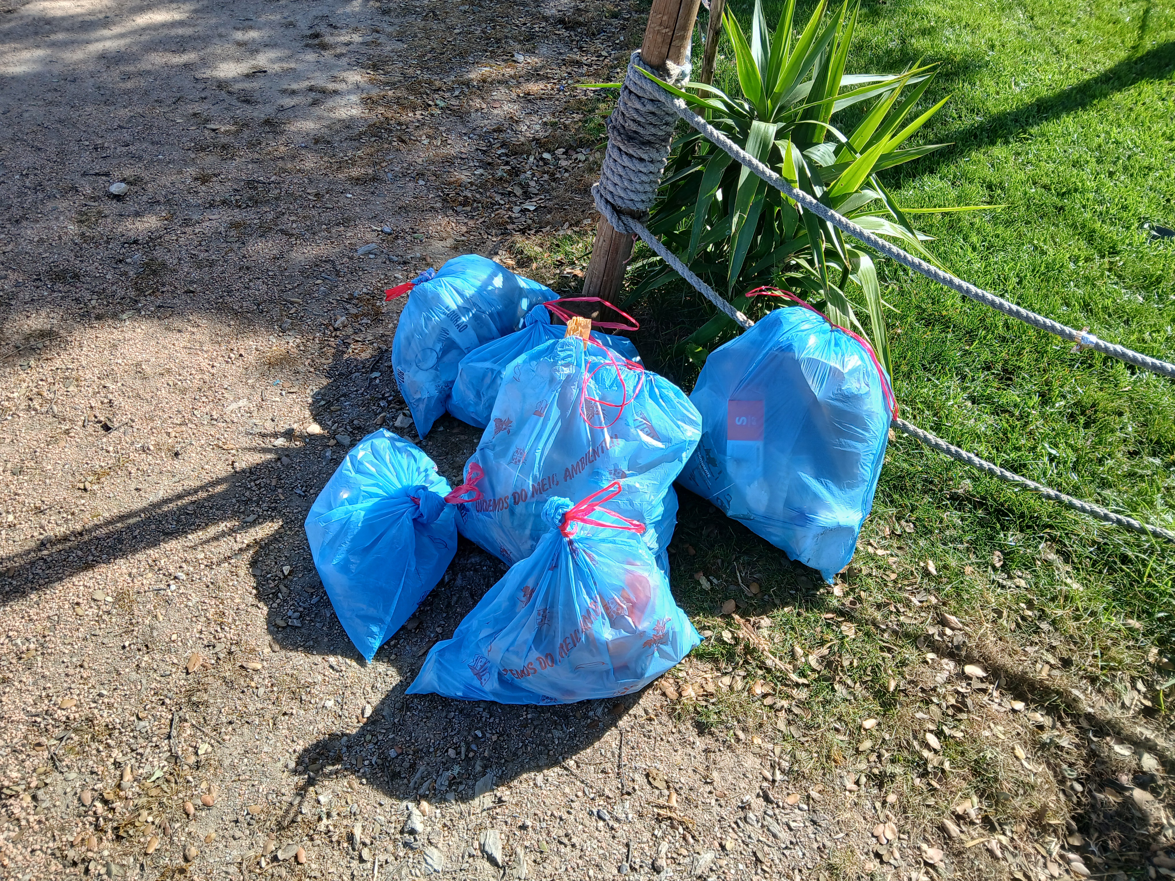 Recolha de lixo da caminhada.