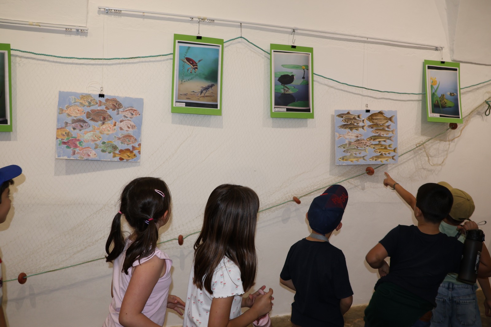 Galeria Municipal de Mourão - Projeto “Alqueva Vivo: Animais e Plantas da Nossa Terra”