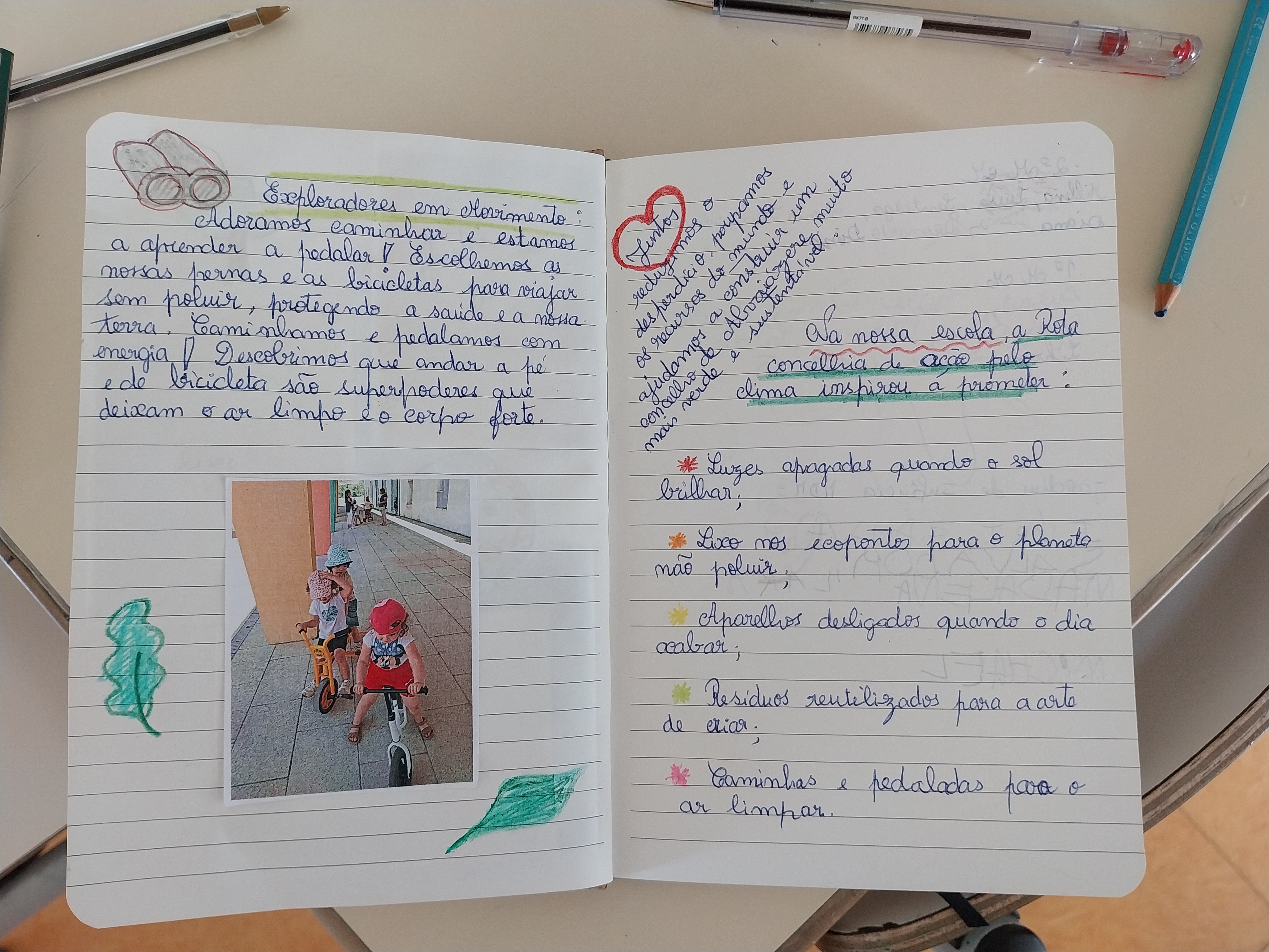 algumas páginas do caderno