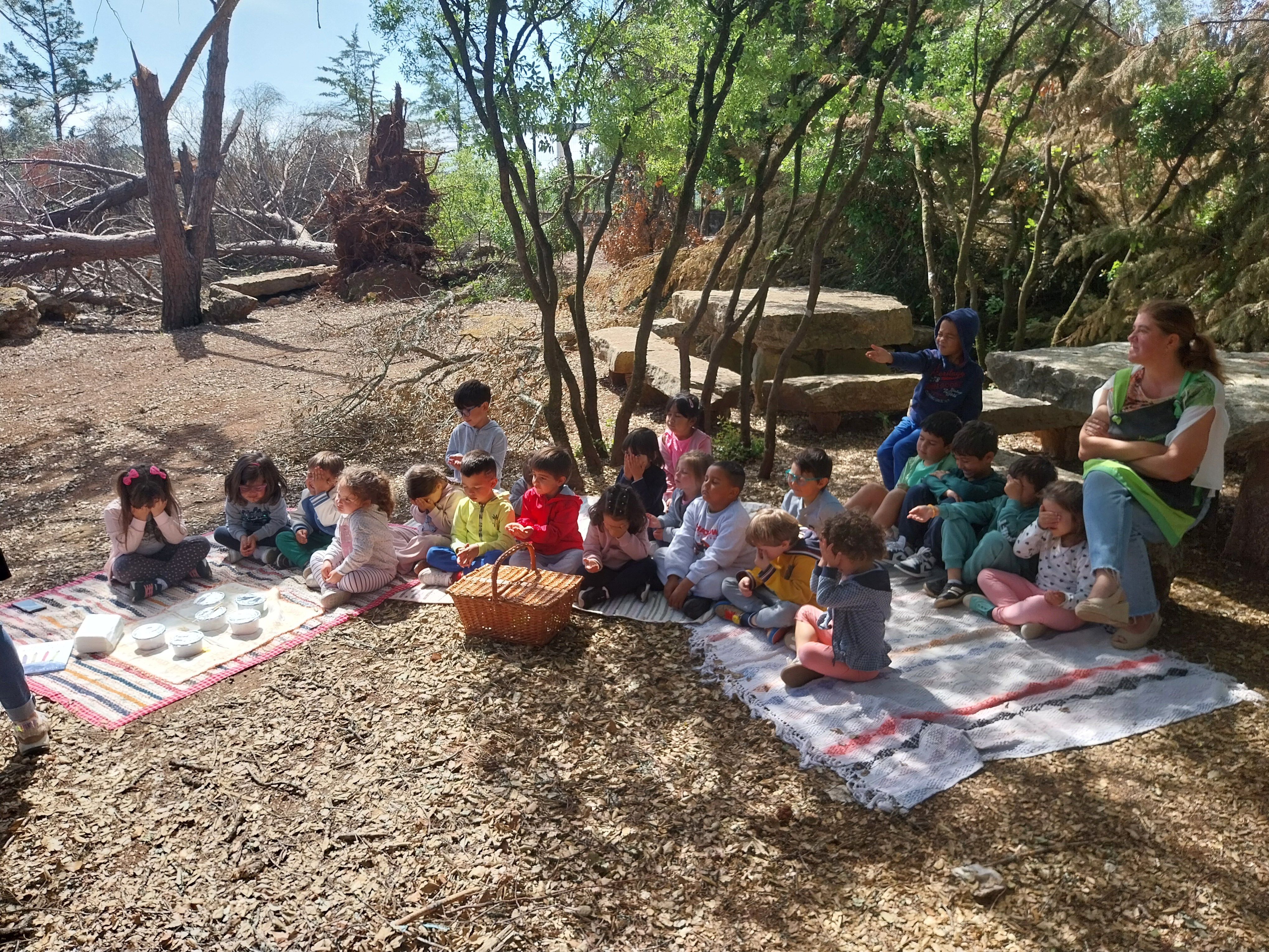picnic na mata