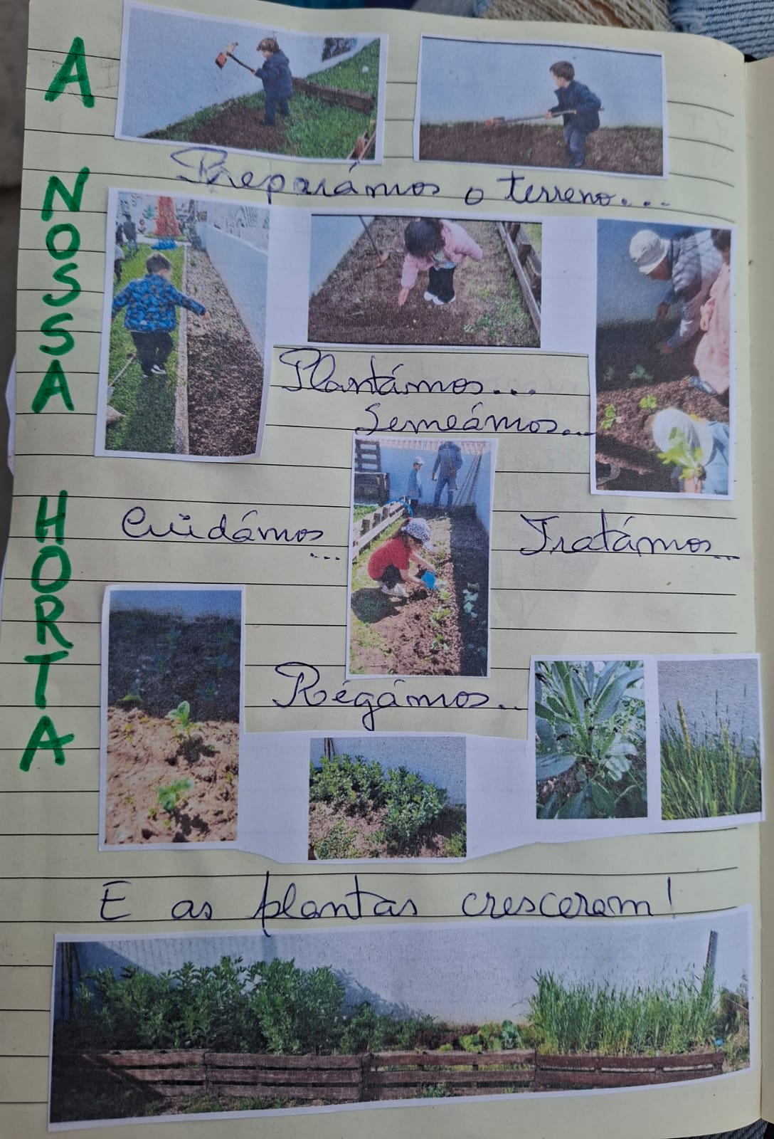 A nossa horta biológica - as sementeiras/plantações e os cuidados ao longo do ano