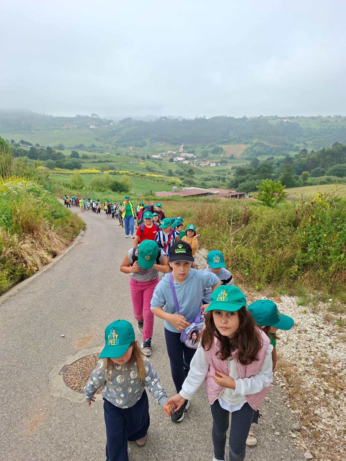A maior parte da caminhada foi feita por uma estrada mais isolada e com pouco trânsito.