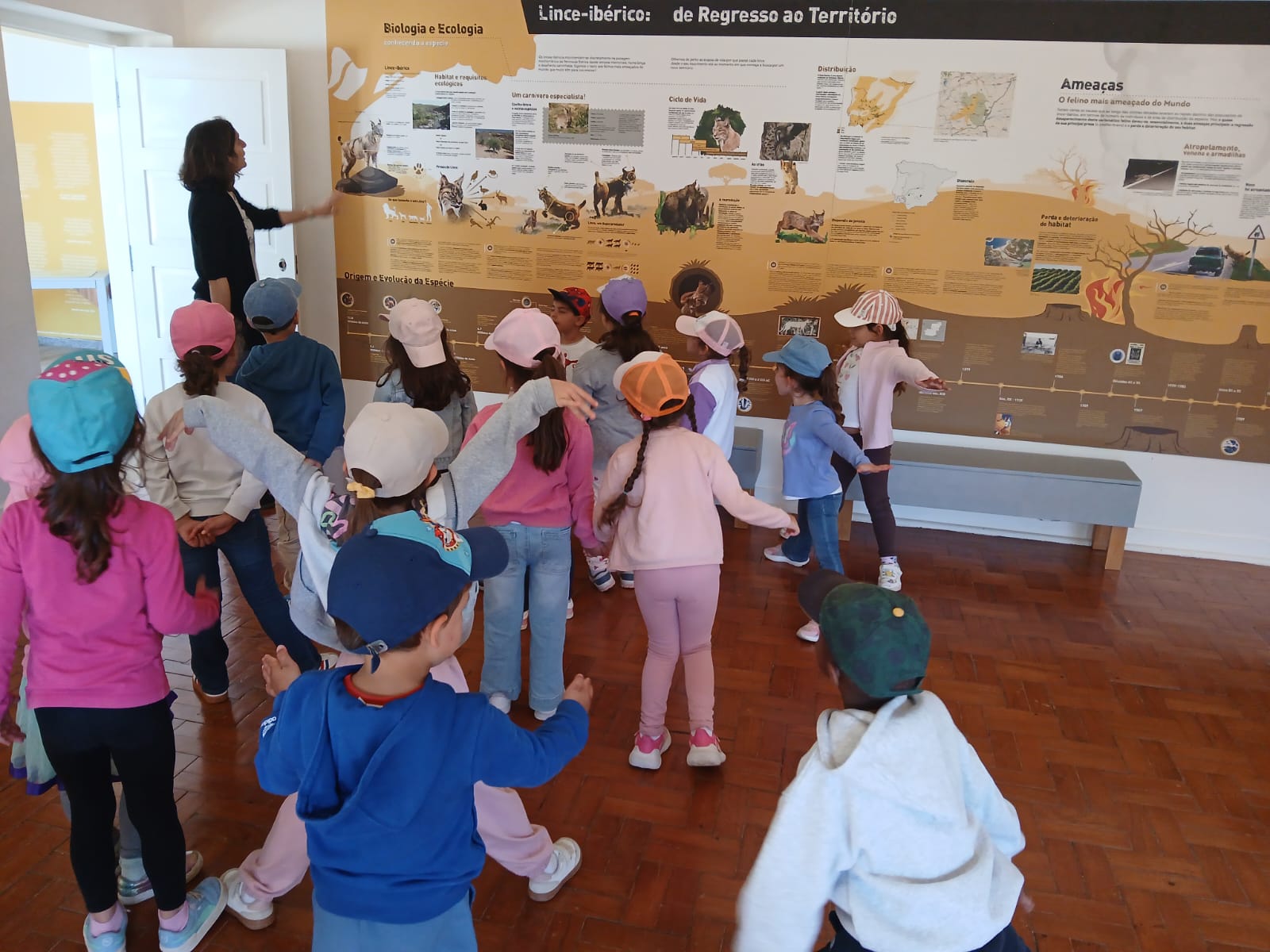 Visita ao centro de interpretação da paisagem / do lince ibérico da amendoeira da Serra e a Observatório do lince ibérico de São João dos caldeireiros.