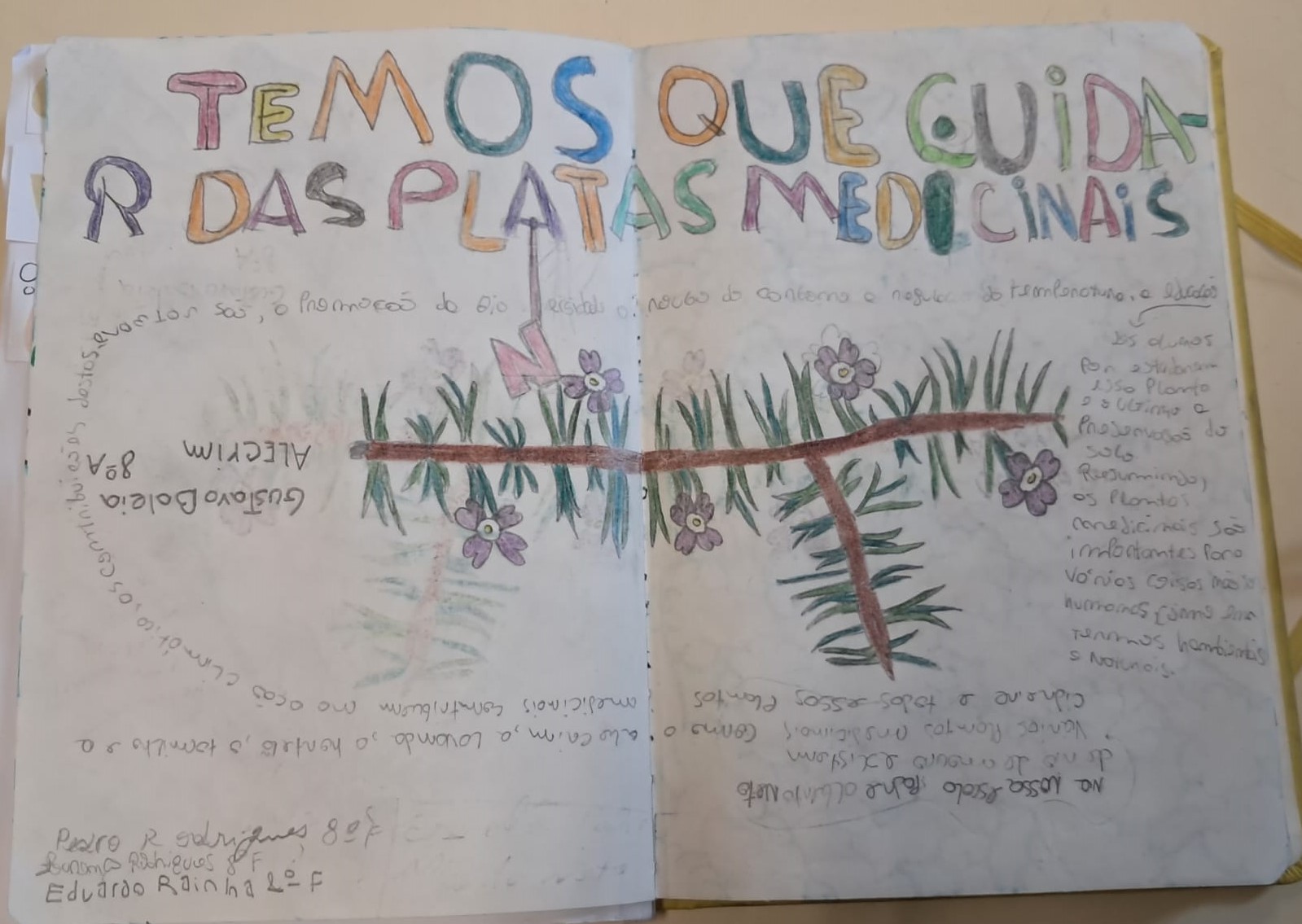 As nossas aromáticas