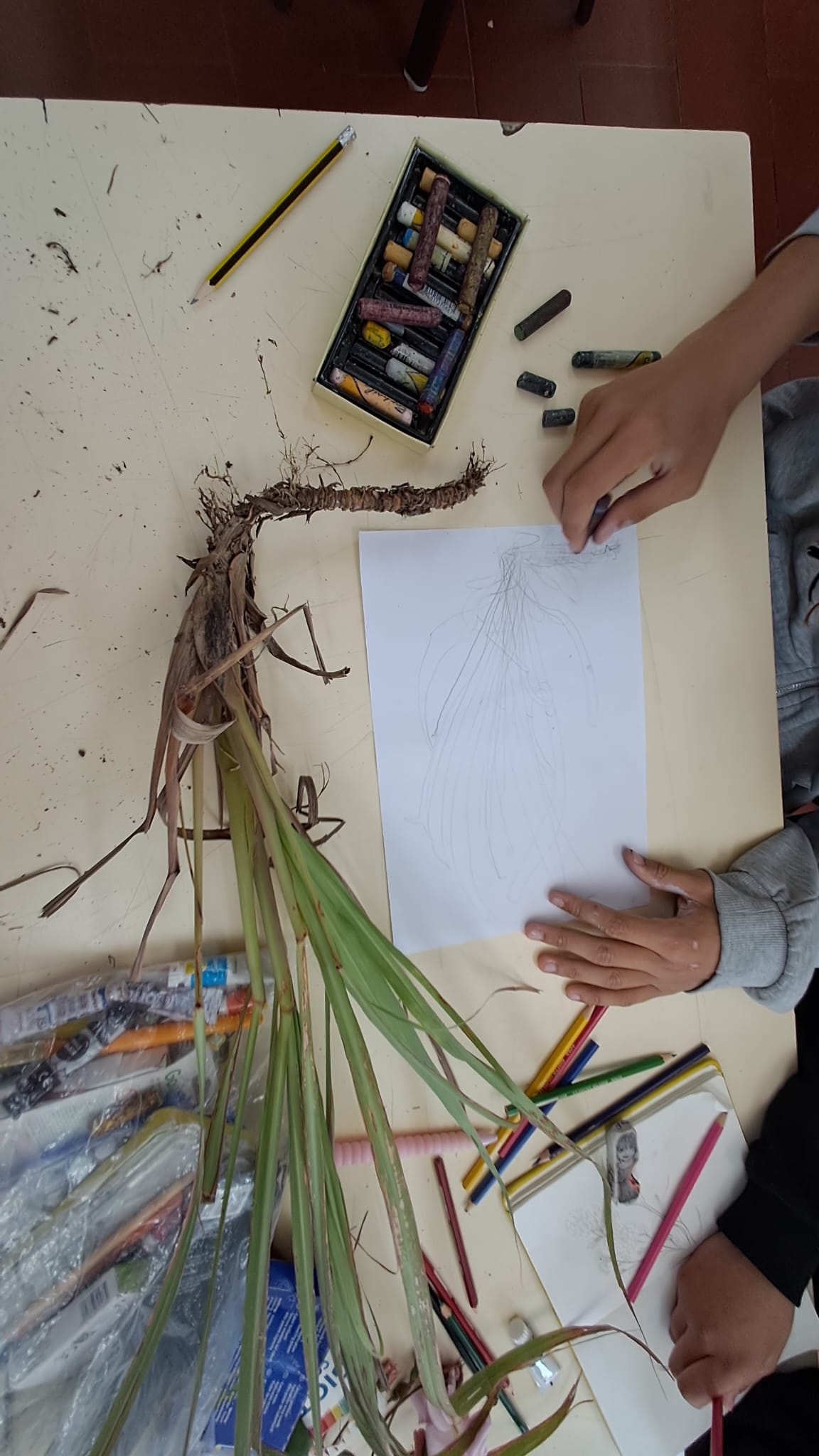 Aprender o que a Natureza nos dá