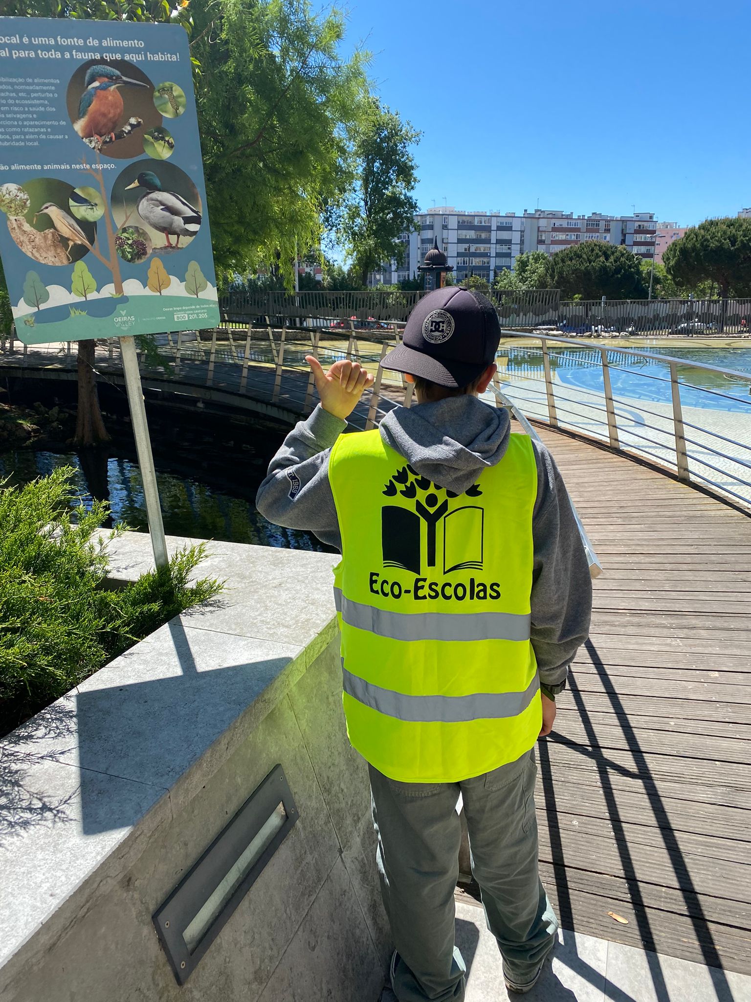 Promover a criação de espaços verdes em zonas urbanizadas