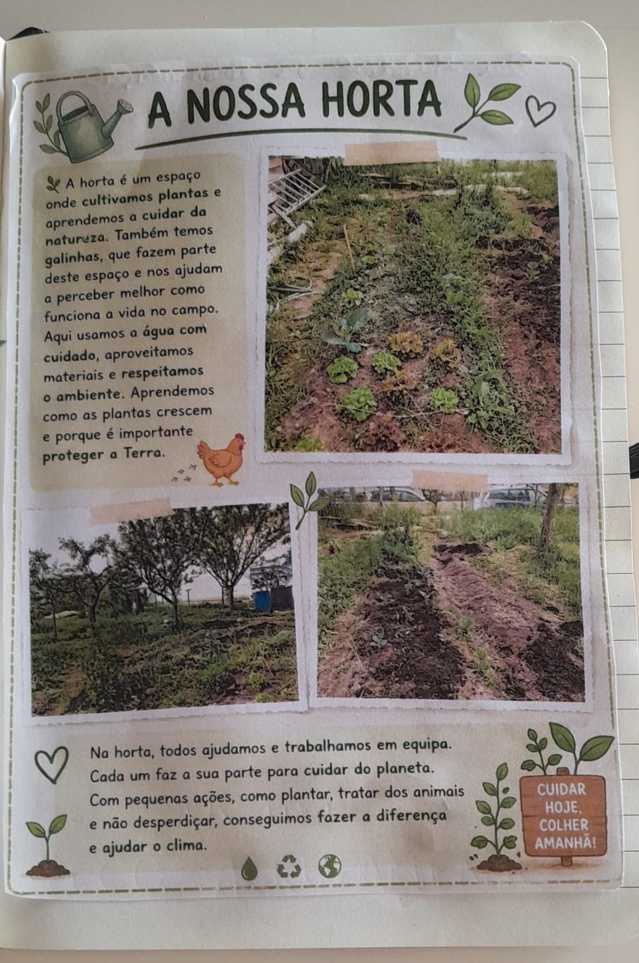 A nossa horta (Biológica - é claro!)